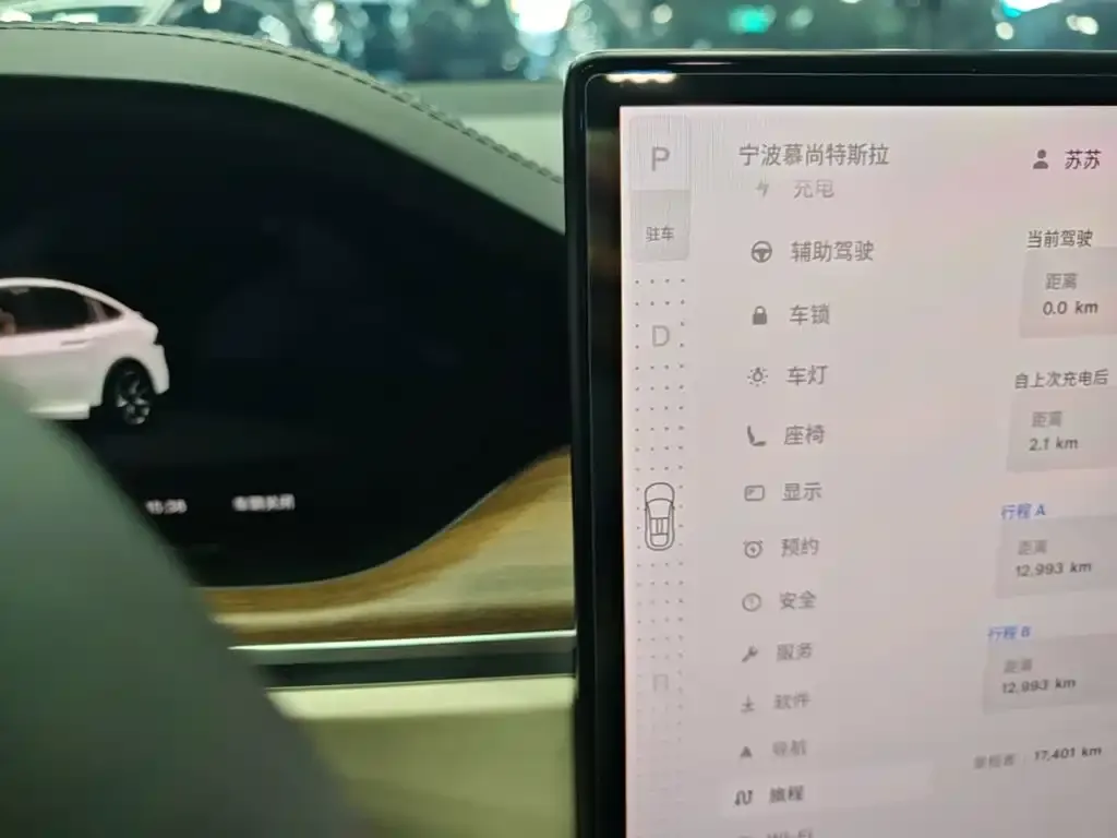 Tesla Model X — фото 4