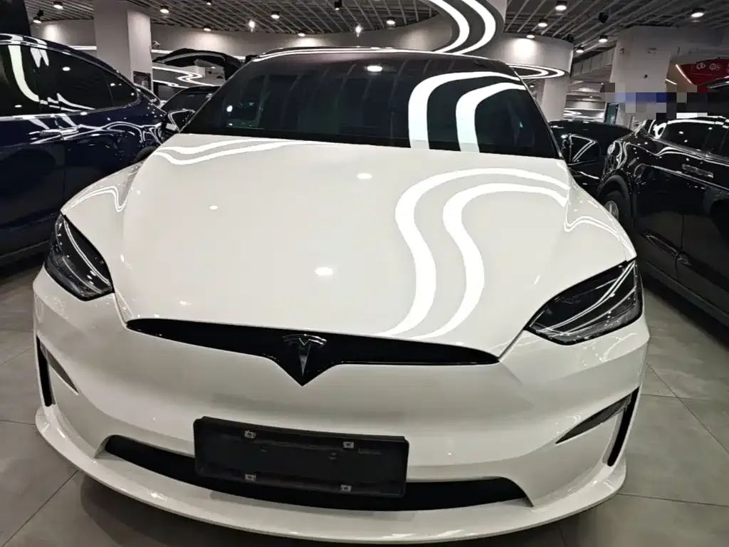 Tesla Model X — фото 9