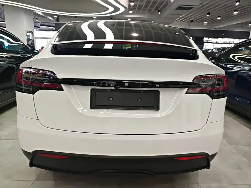 Tesla Model X — фото 8