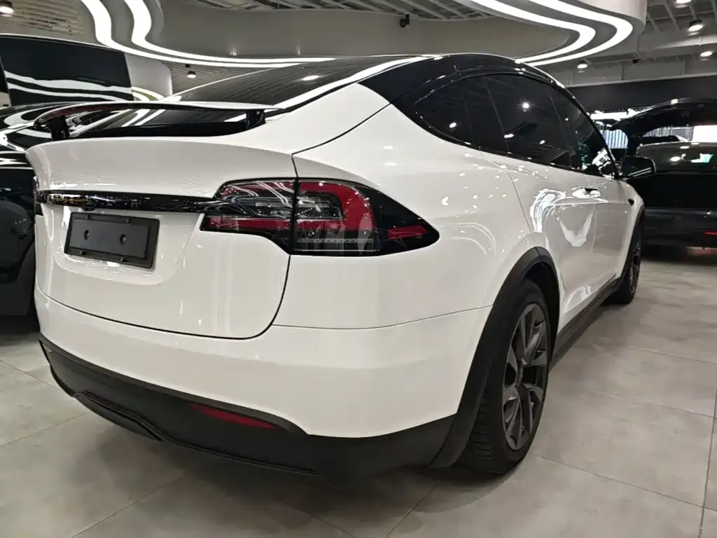 Tesla Model X — фото 10