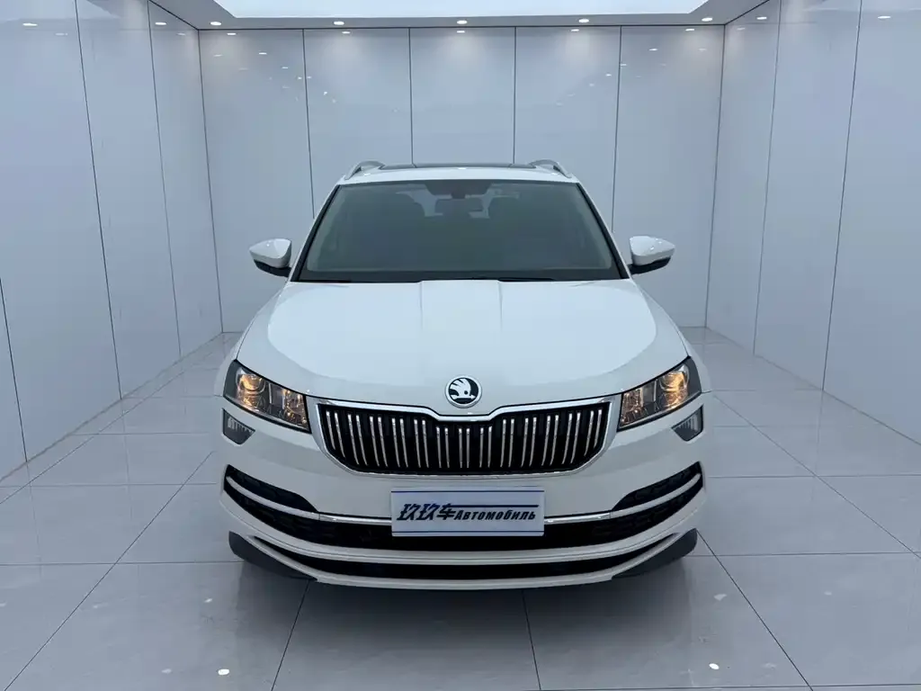 Skoda Karoq — фото 7