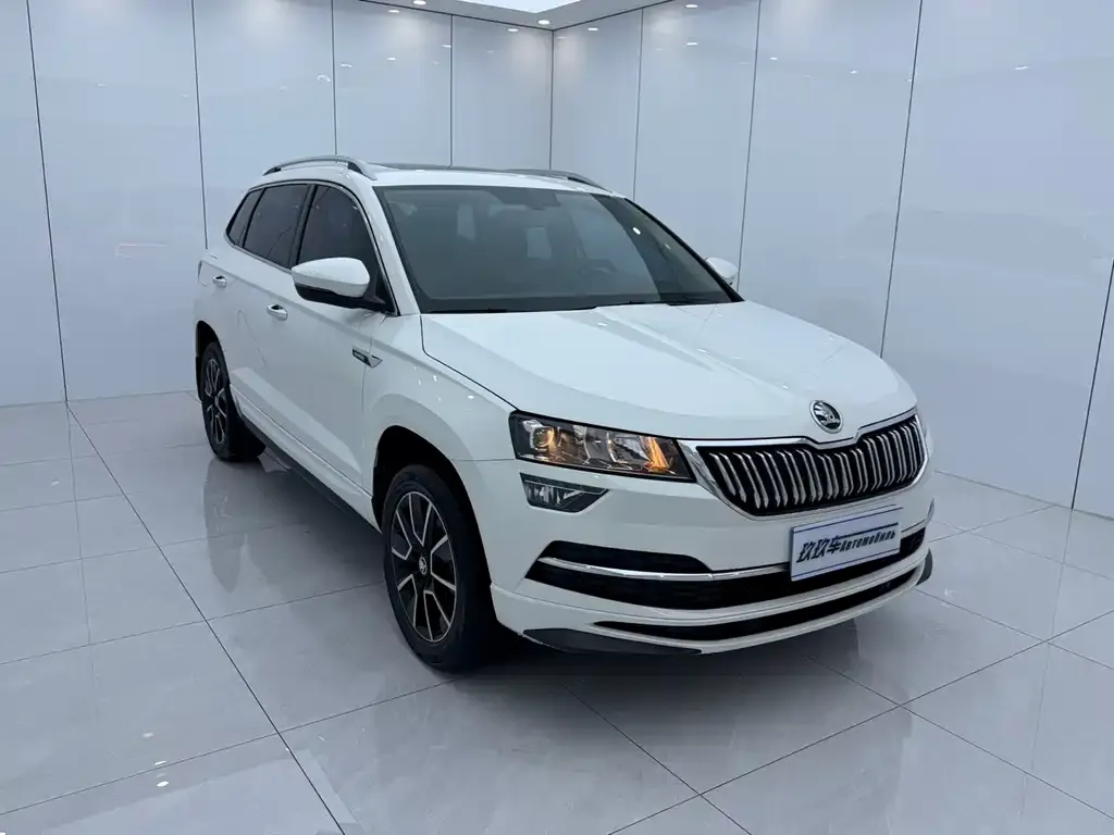 Skoda Karoq — фото 4