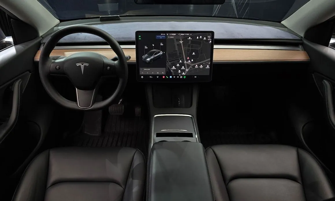 Tesla Model Y — фото 10