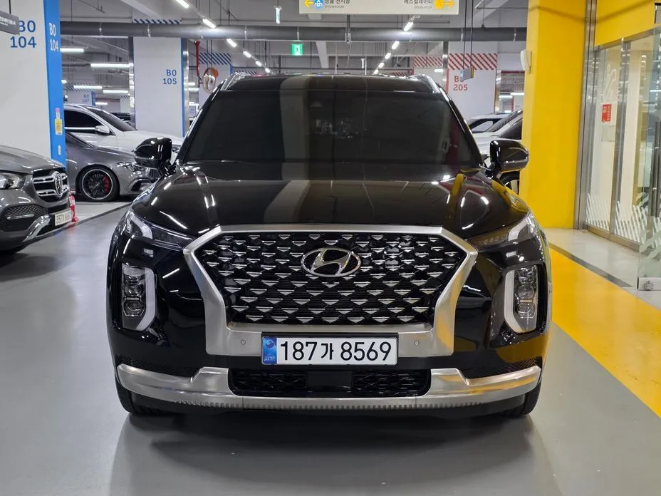 Hyundai Palisade — фото 10