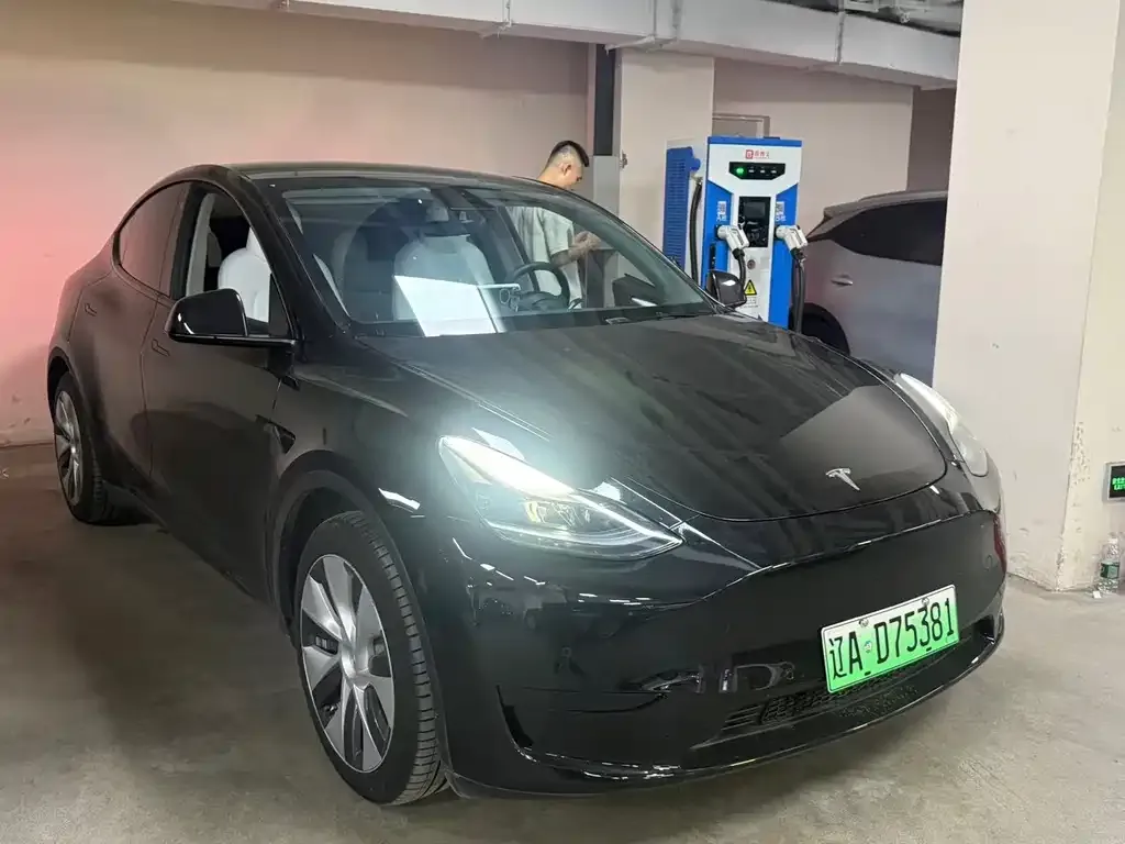Tesla Model Y — фото 1