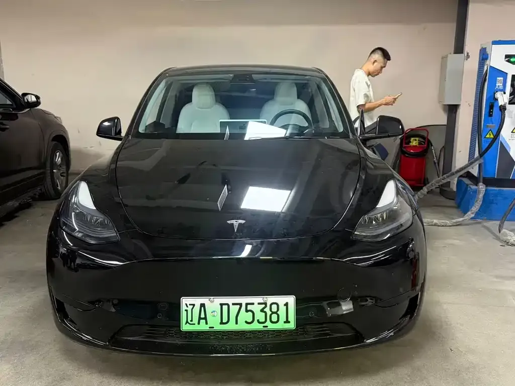 Tesla Model Y — фото 3
