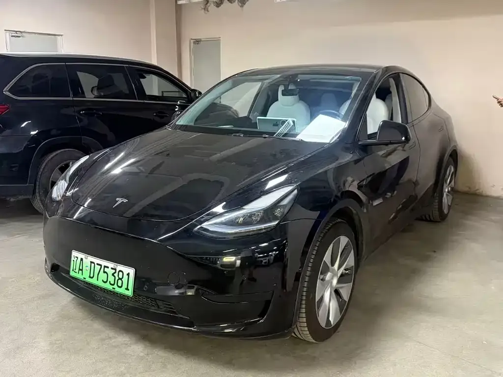 Tesla Model Y — фото 4