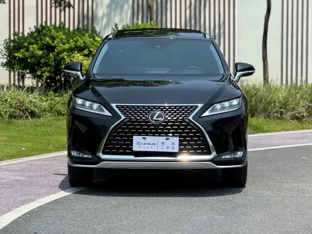 Lexus RX — фото 10