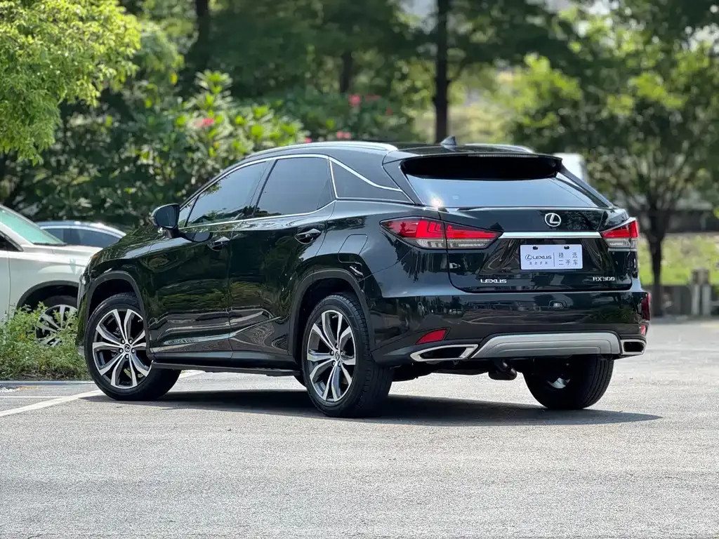 Lexus RX — фото 9