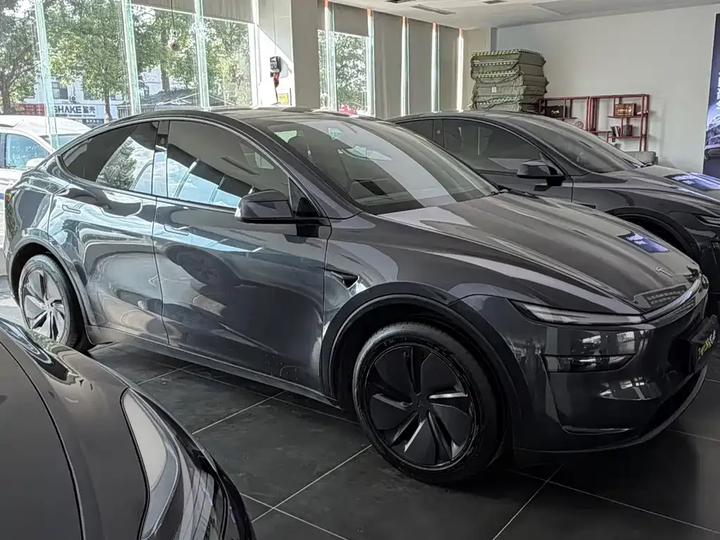 Tesla Model Y — фото 6