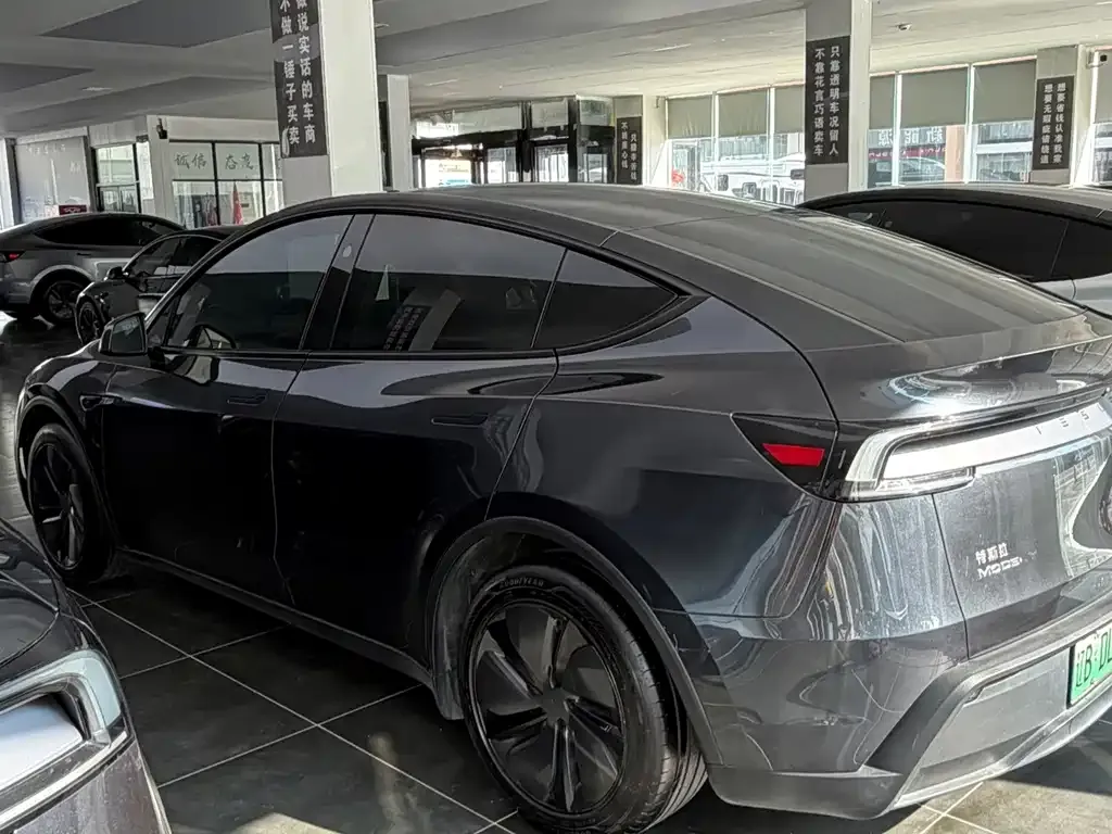 Tesla Model Y — фото 2