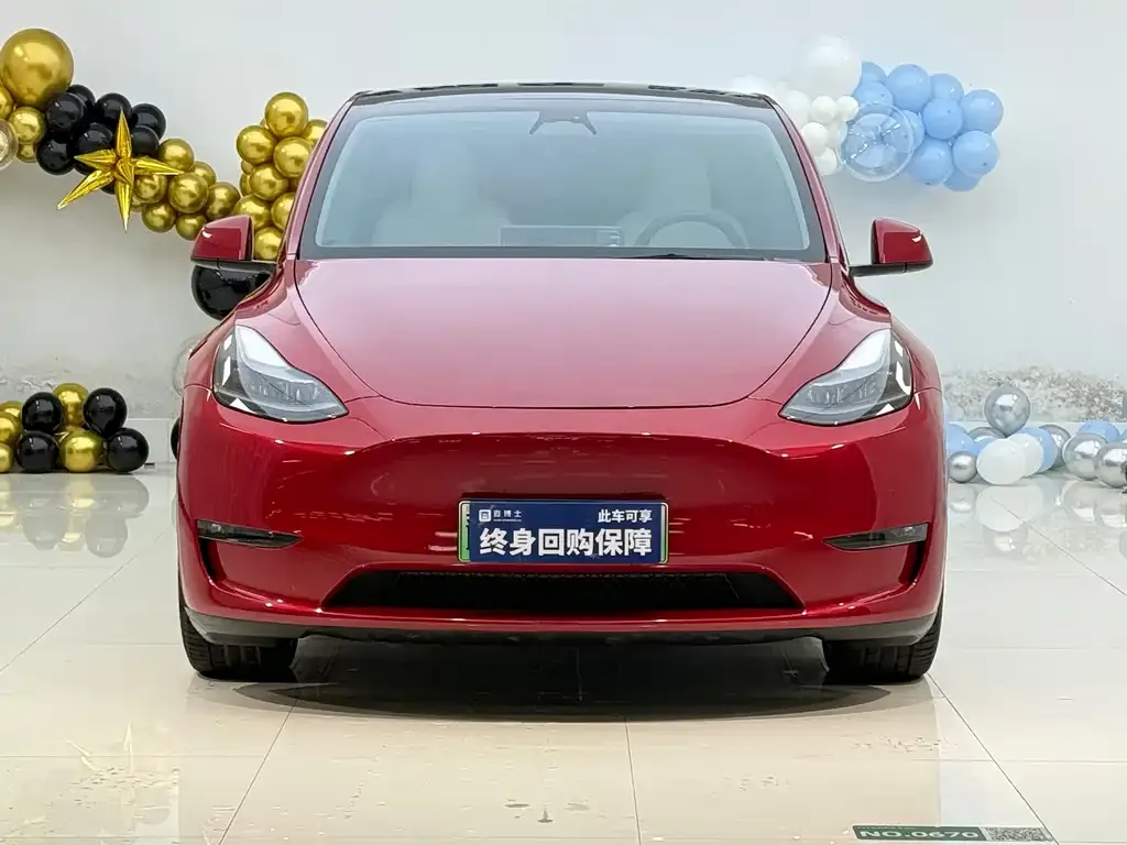 Tesla Model Y — фото 8