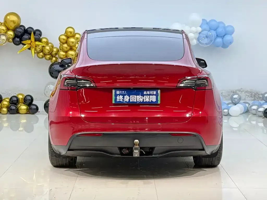 Tesla Model Y — фото 6