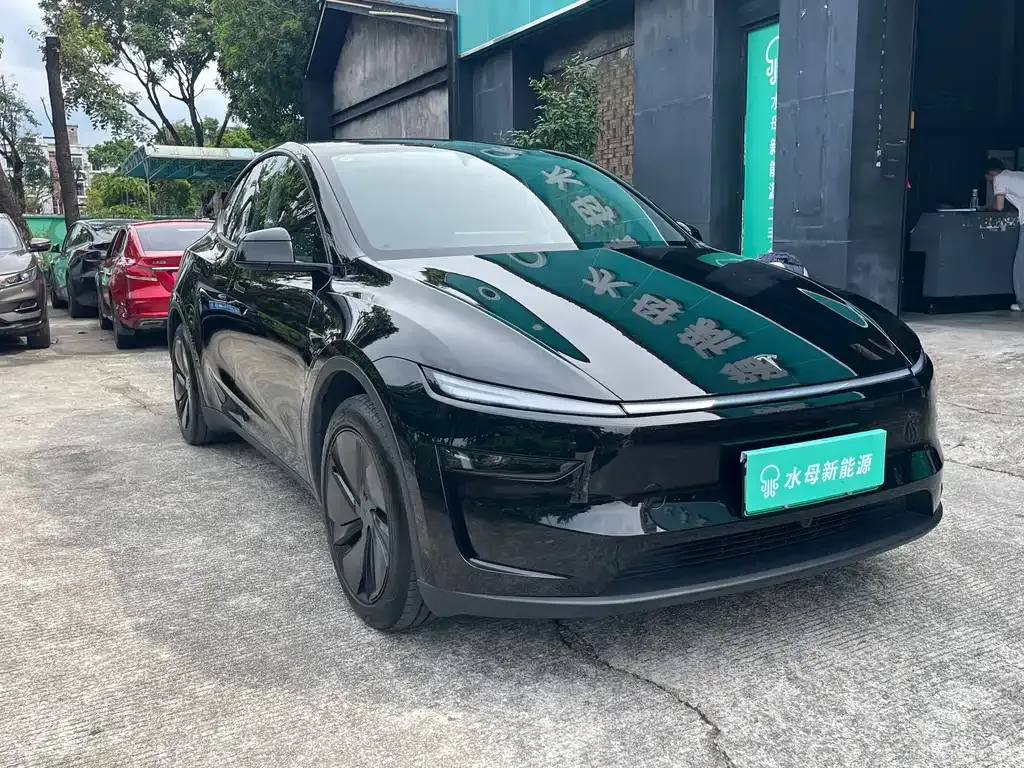 Tesla Model Y — фото 9