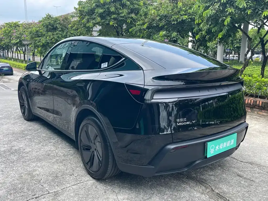Tesla Model Y — фото 8
