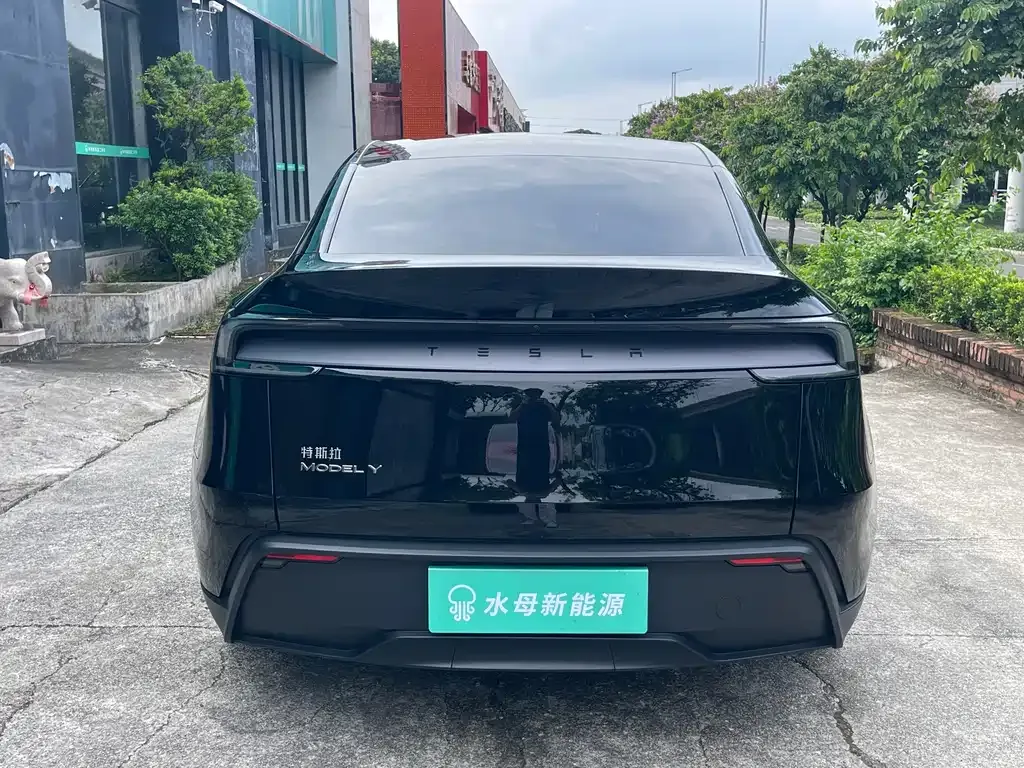 Tesla Model Y — фото 10
