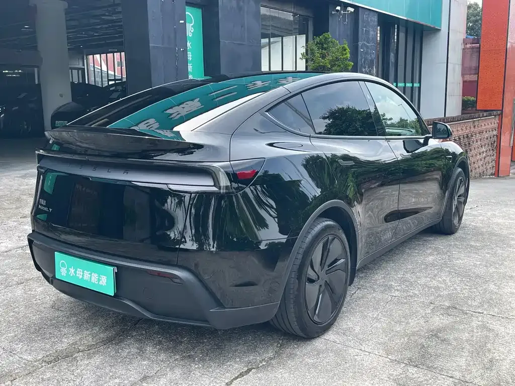 Tesla Model Y — фото 4