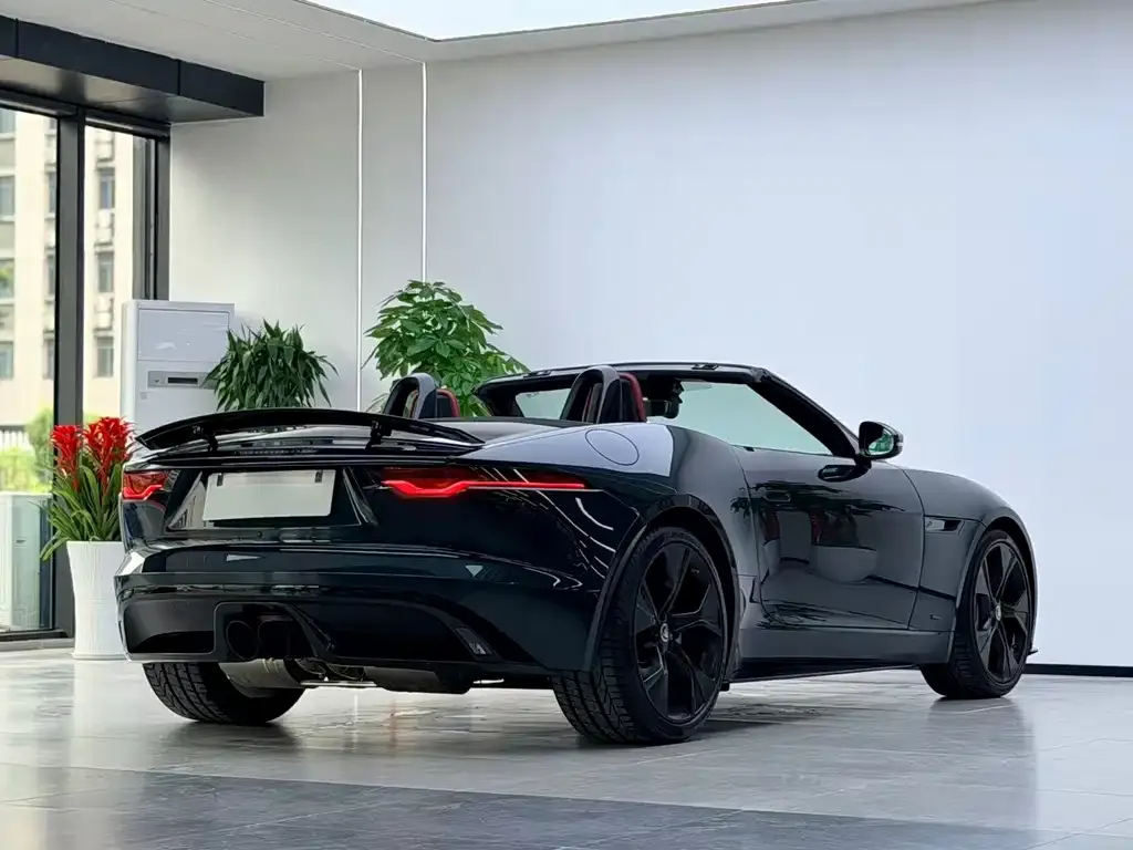 Jaguar F-TYPE — фото 7