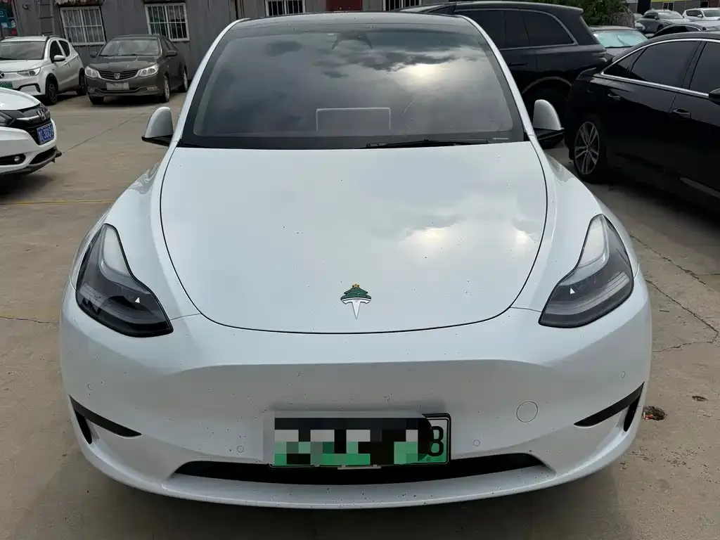 Tesla Model Y — фото 3