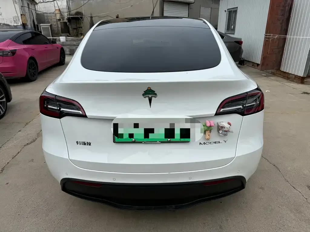 Tesla Model Y — фото 6