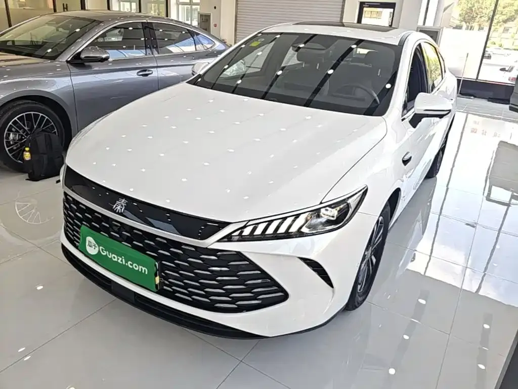 BYD Qin PLUS — фото 2