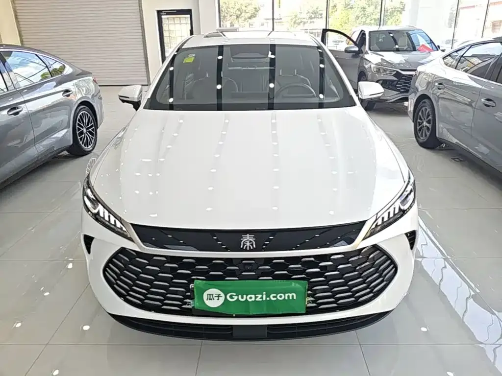BYD Qin PLUS — фото 3