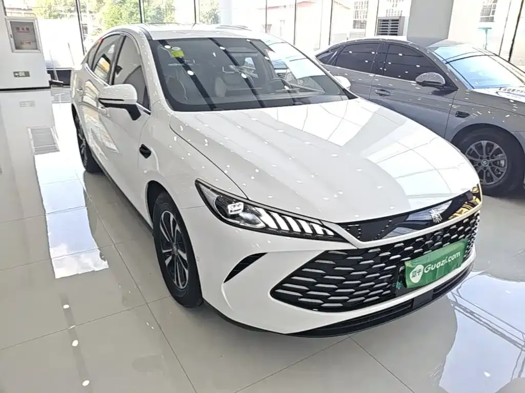 BYD Qin PLUS — фото 4