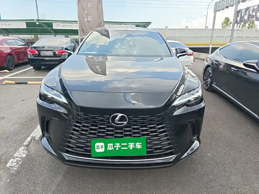 Lexus RX — фото 10