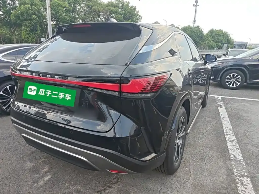 Lexus RX — фото 9