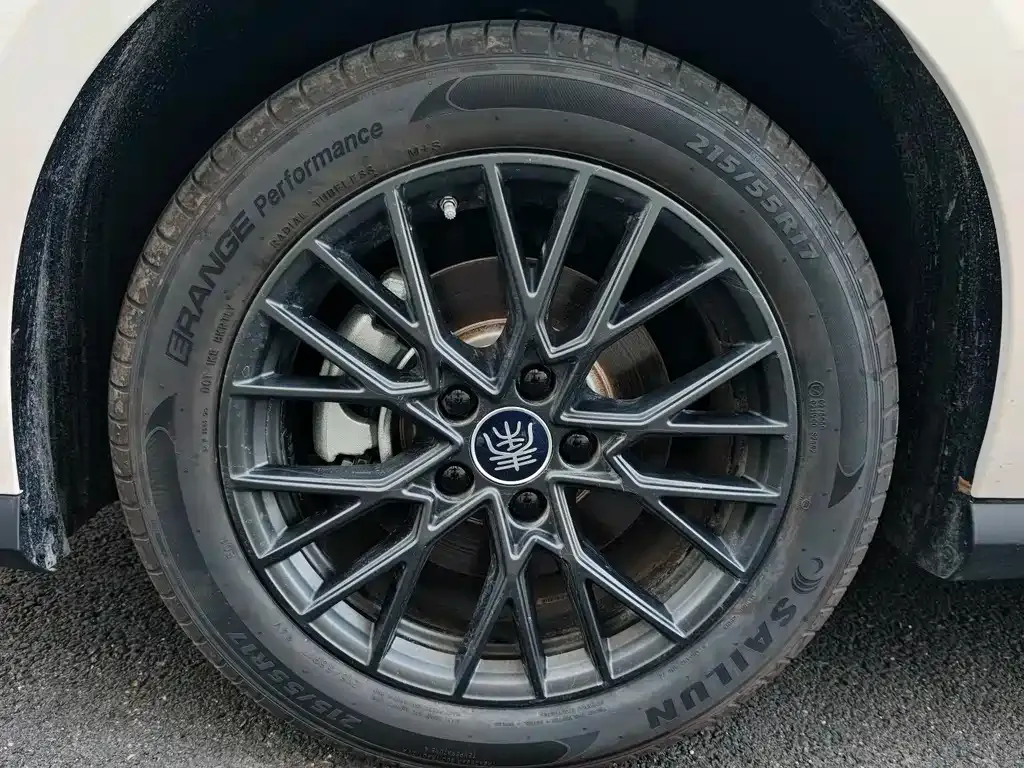 BYD Qin PLUS — фото 10
