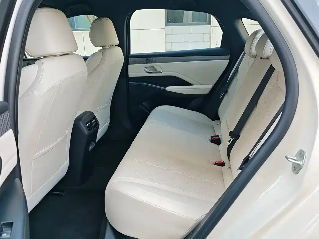BYD Qin PLUS — фото 2