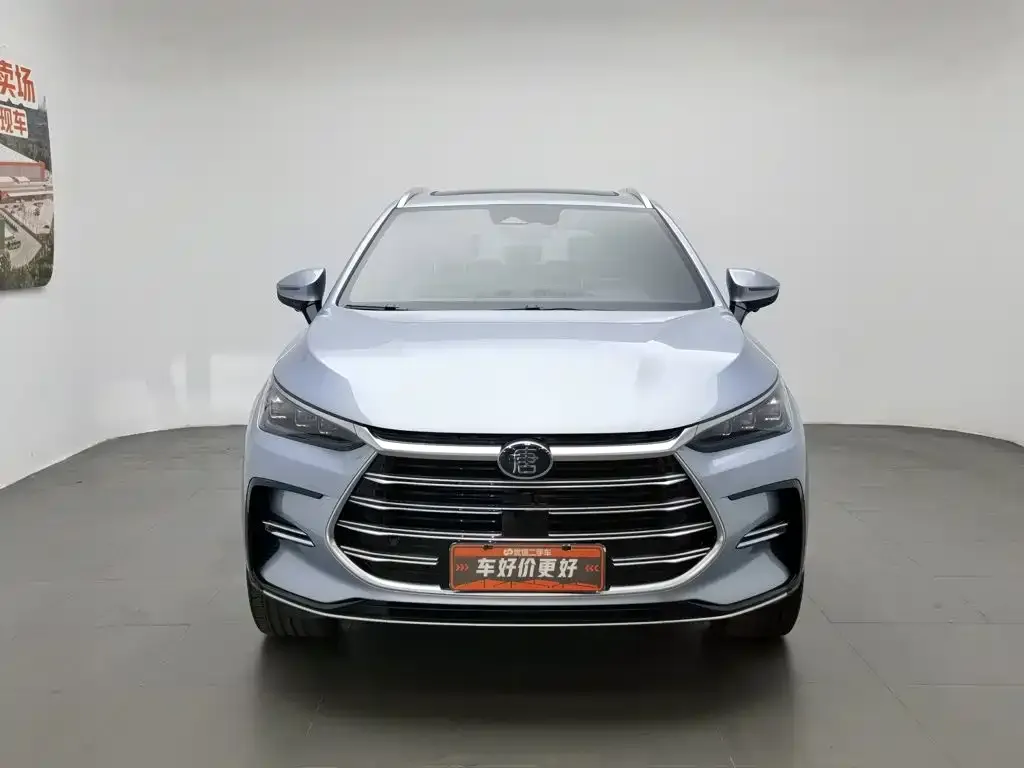 BYD Tang New Energy — фото 4