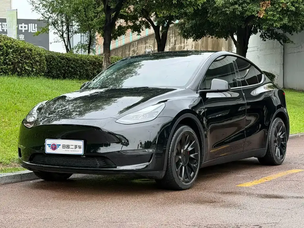 Tesla Model Y — фото 1