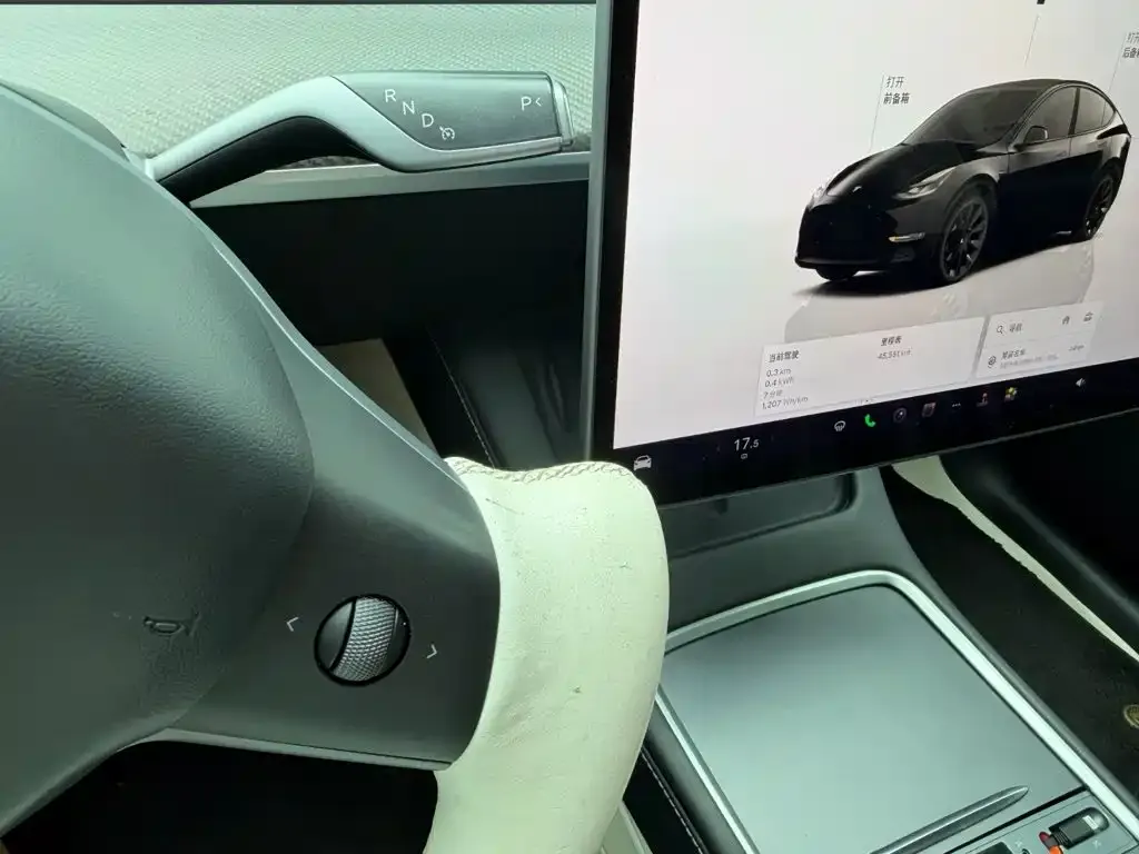 Tesla Model Y — фото 7