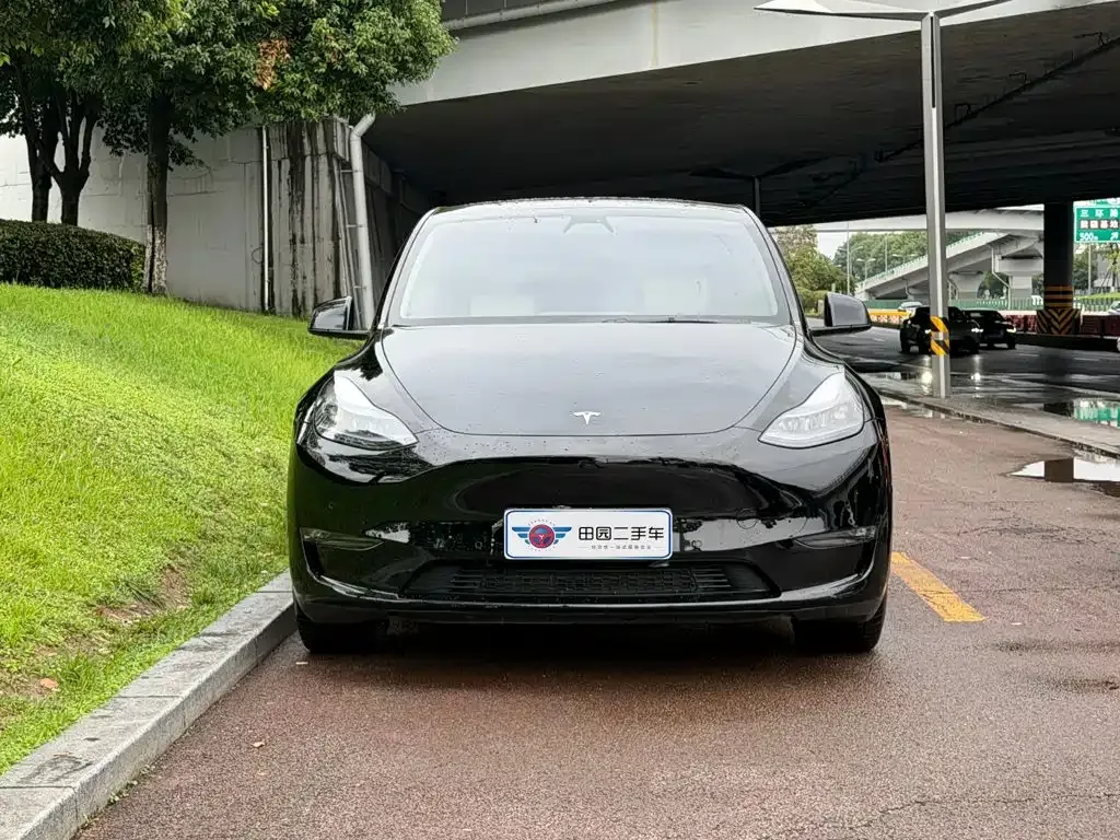 Tesla Model Y — фото 5