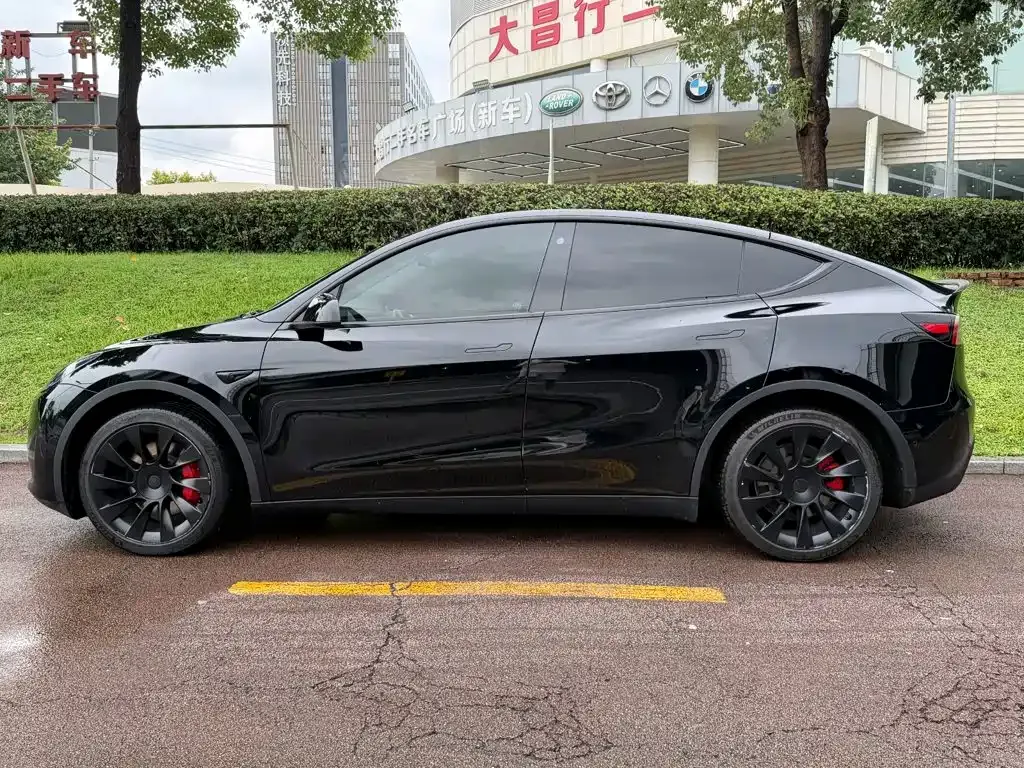 Tesla Model Y — фото 9