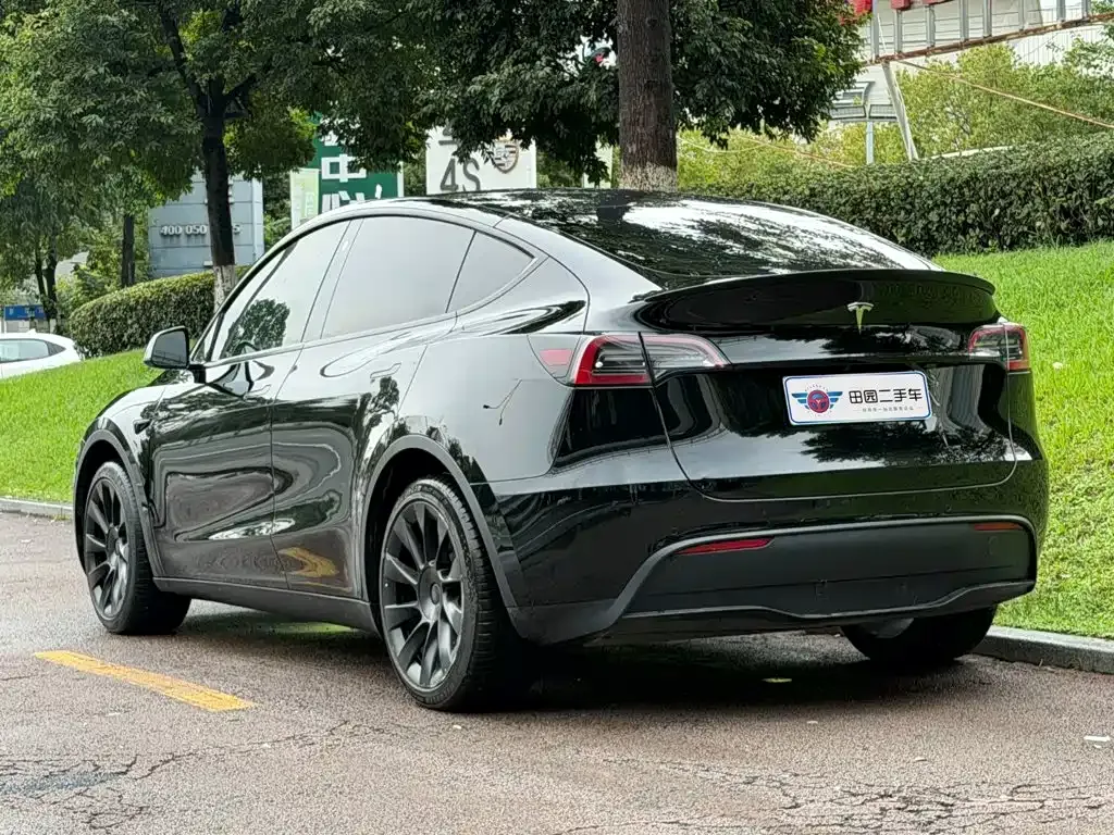 Tesla Model Y — фото 8