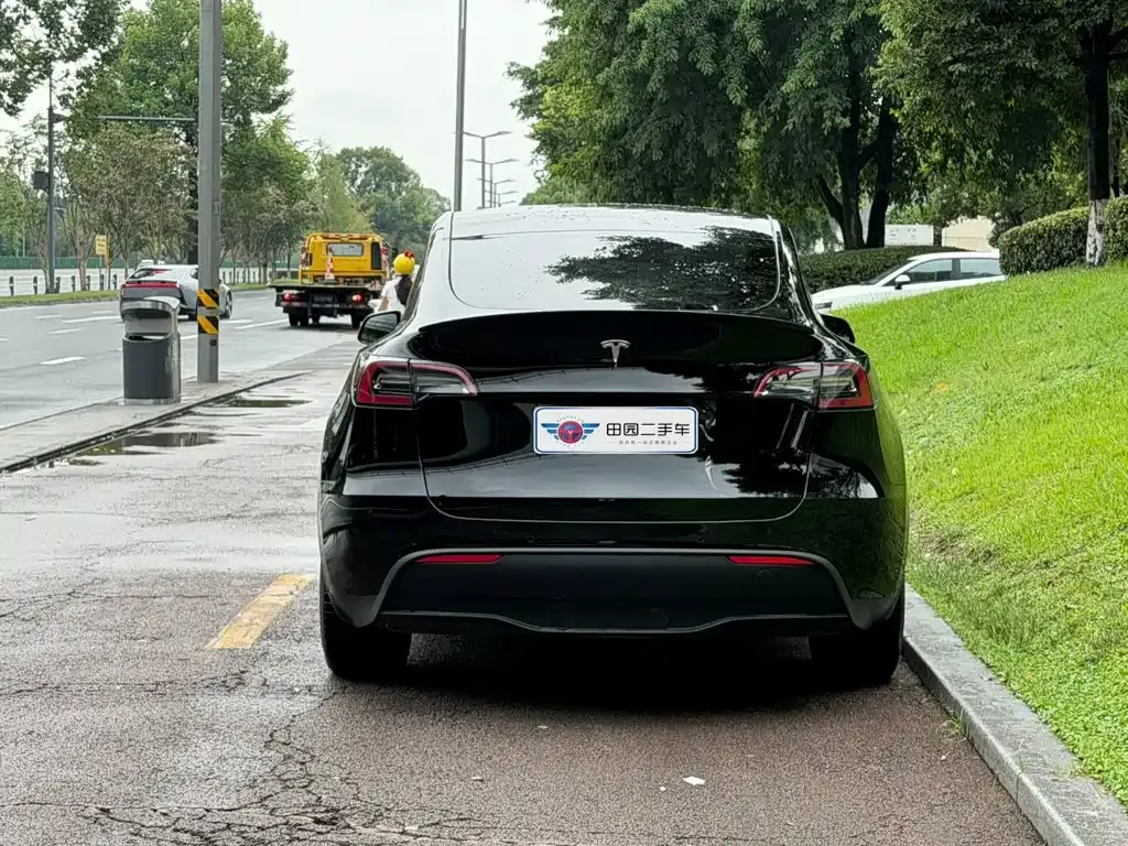 Tesla Model Y — фото 10