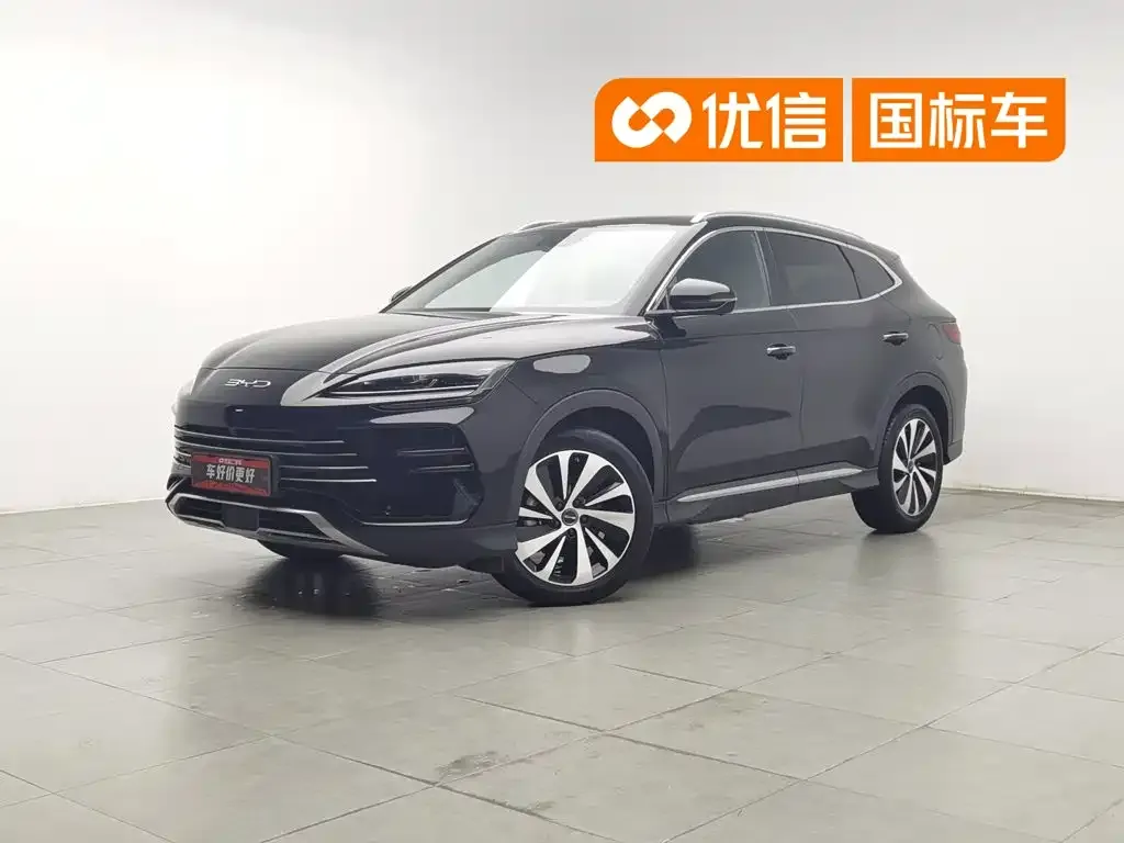 BYD PLUS New Energy — фото 1