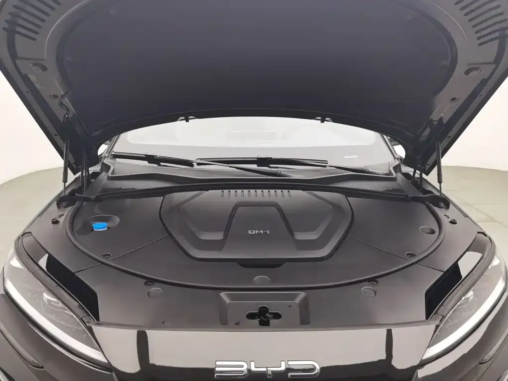 BYD PLUS New Energy — фото 4