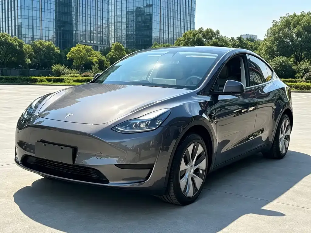 Tesla Model Y — фото 5