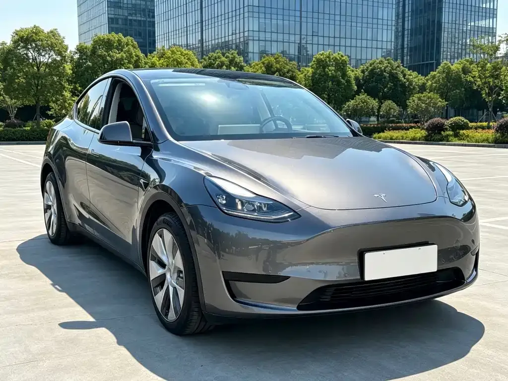 Tesla Model Y — фото 9