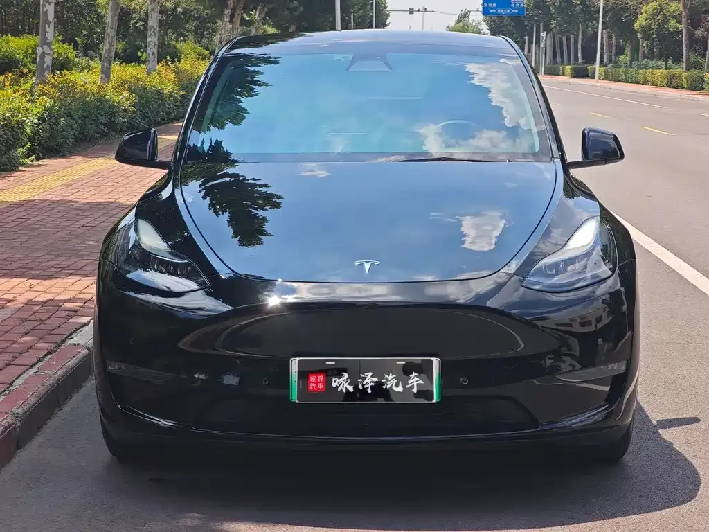 Tesla Model Y — фото 1