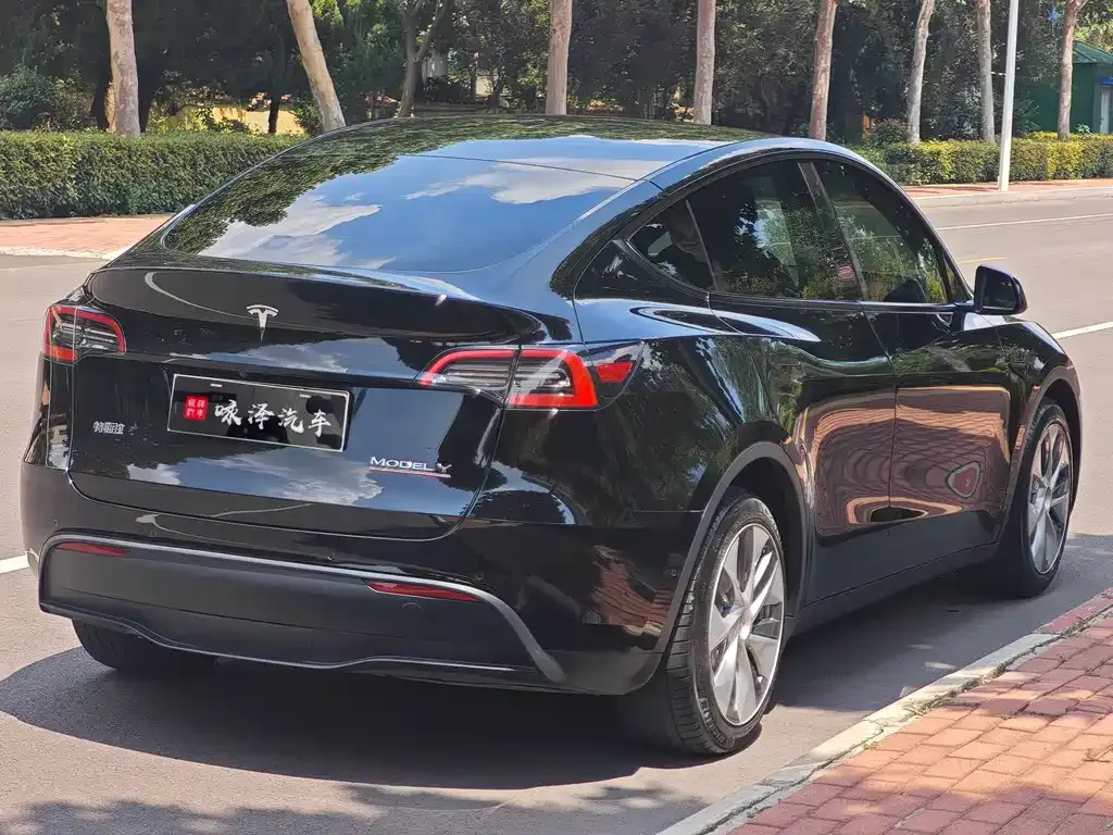 Tesla Model Y — фото 6