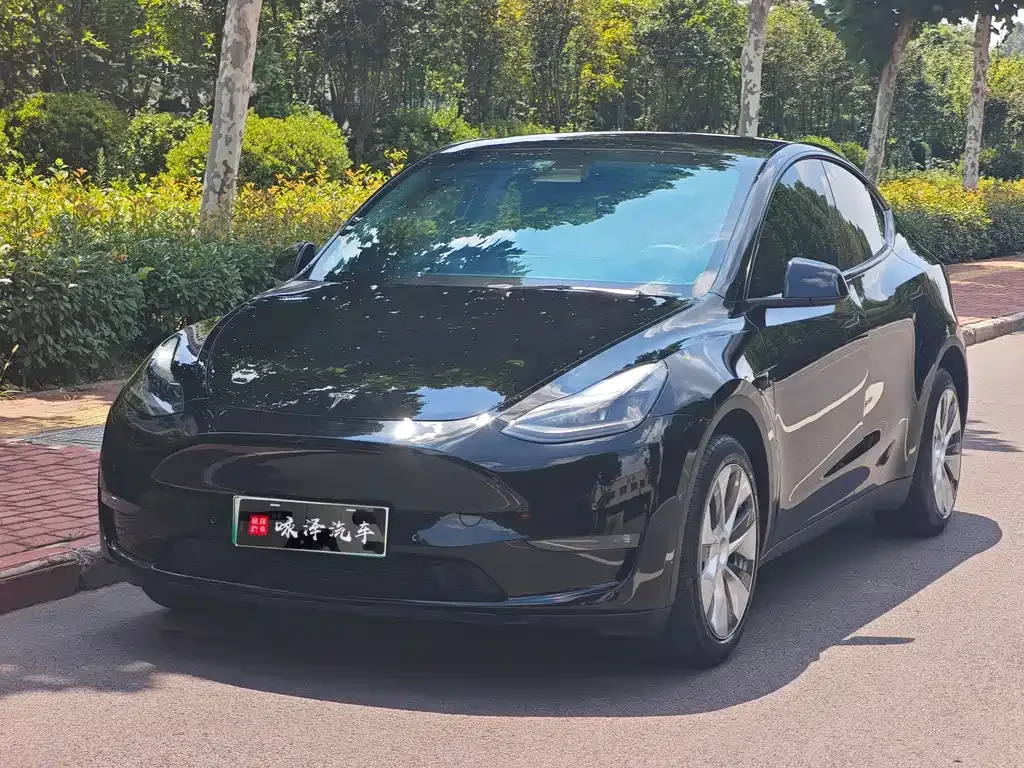 Tesla Model Y — фото 8