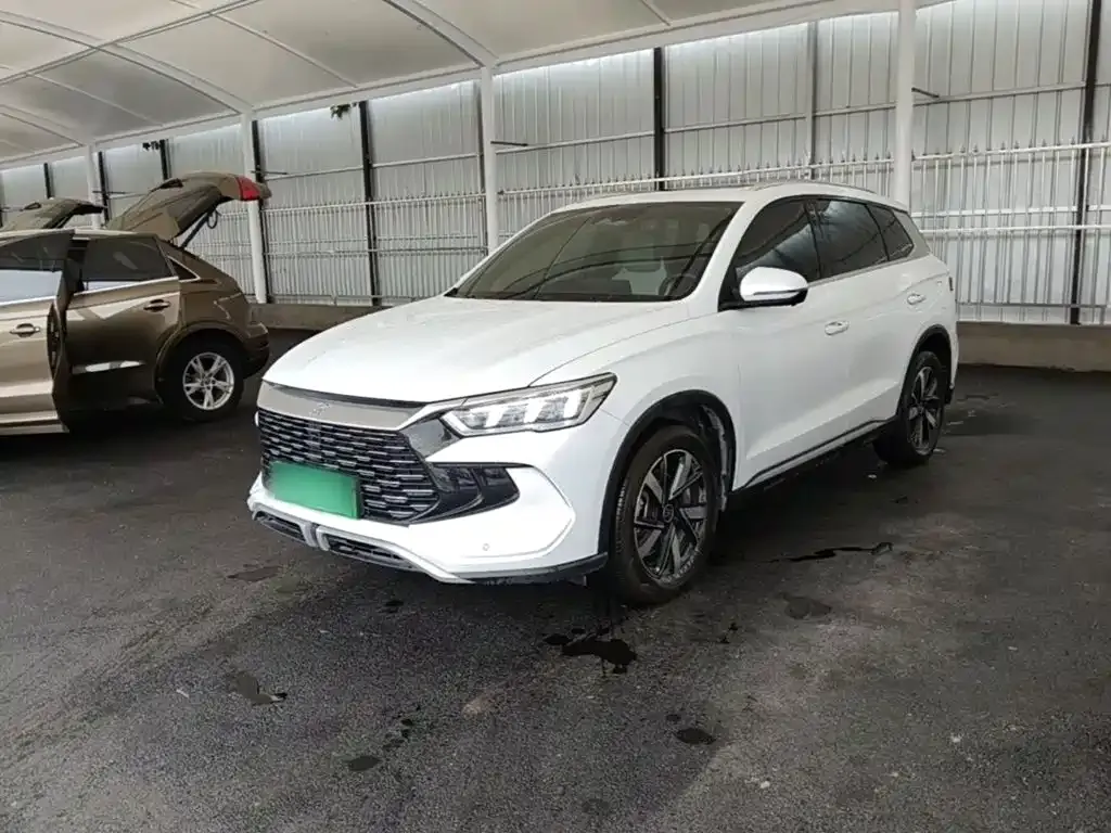 BYD Pro New Energy — фото 1