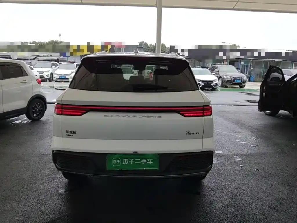 BYD Pro New Energy — фото 3