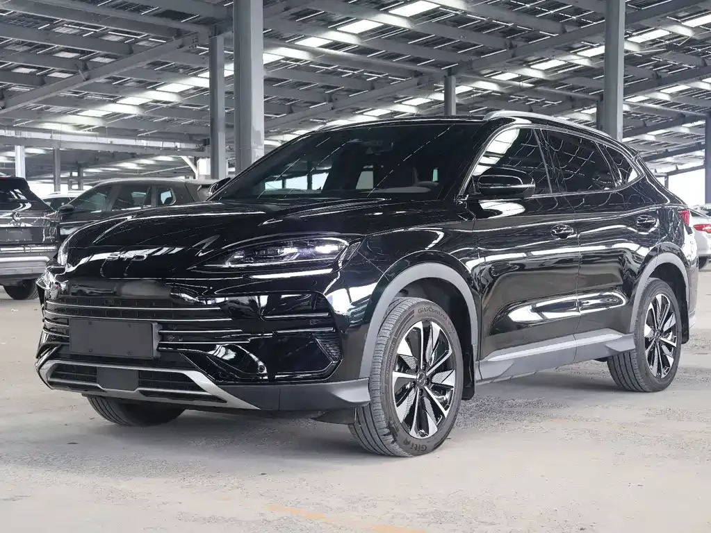 BYD PLUS New Energy — фото 1