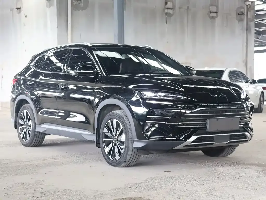 BYD PLUS New Energy — фото 4