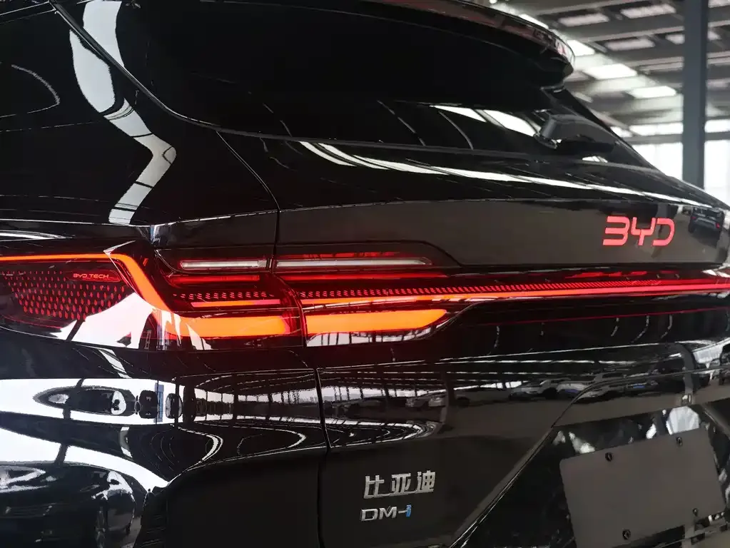 BYD PLUS New Energy — фото 8